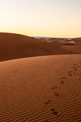 Il deserto del Marocco