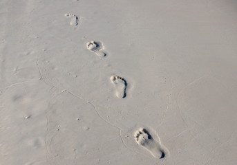 Bare foot walk on wet white sand. Beach texture photo. Foot steps on beach. Barefoot mark banner. Relaxing day on beach