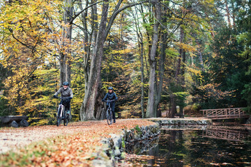 A senior couple with electrobikes cycling outdoors on a road in park in autumn.