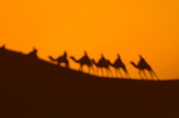 view of caravan traveling and camels shadows on the sand dune in Sahara desert