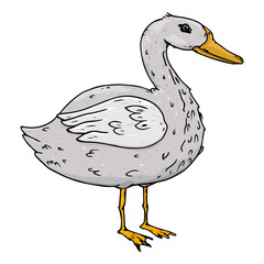 Duck icon. Vector illustration of waterfowl duck. Duck hand drawn.