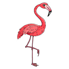 Flamingo icon. Vector illustration of a flamingo. Flamingo hand drawn.