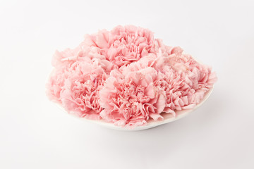 Pink carnations flowers in round plate on white background
