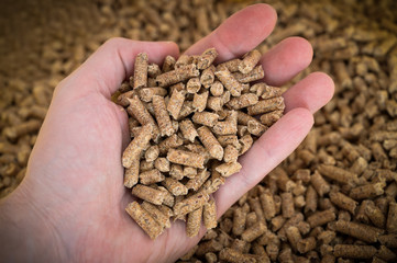 Pressed sawdust is an environmentally friendly filler in cat litter.