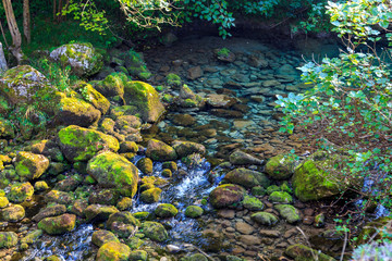 Crystal clear waters of mountain river coming from the thaw. National Park of the Picos de Europa (Cantabria, Asturias, Castilla y León - Spain). Private trout and salmon fishing preserve.