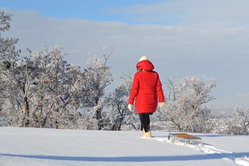 A young woman in a bright red jacket, hat and scarf goes with sleds on the snowy top of the mountain. Back view. Winter landscape