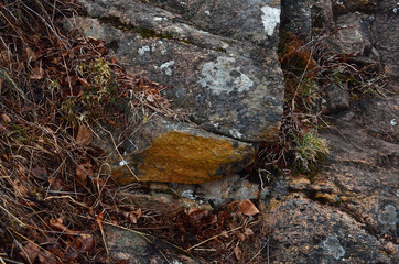 beautiful winter mountain nature