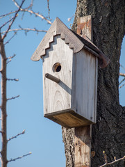 Handmade birdhouse hanging on a tree in the orchard.