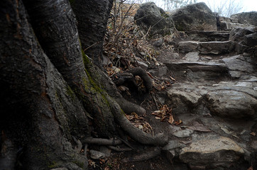 beautiful winter mountain nature