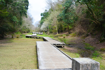 Fototapeta premium 遊歩道