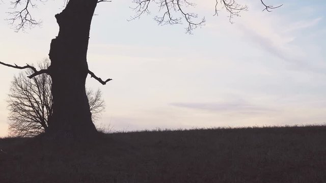 Grim Reaper sunset silhouette. concept of death