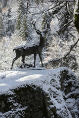 Cerf d'Europe. Statue par Pierre Louis Rouillard. 1875. Fonte de fer. Parc thermal de Saint-Gervais-les-Bains/Le Fayet. / European deer. Thermal Park of St. Gervais-les-Bains / Le Fayet.