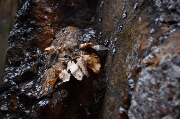 beautiful winter mountain nature