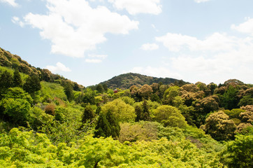 Obraz premium 山 光 高い 緑 ノイズ