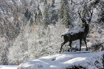 Cerf d'Europe. Statue par Pierre Louis Rouillard. 1875. Fonte de fer. Parc thermal de Saint-Gervais-les-Bains/Le Fayet. / European deer. Thermal Park of St. Gervais-les-Bains / Le Fayet.