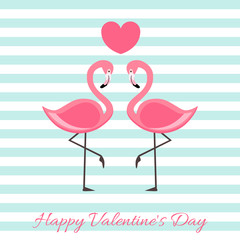 Happy Valentine's Day with Flamingo vector illustration . lettering isolated illustration on blue and white  background