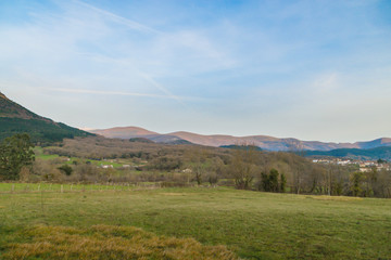 dawning in the field