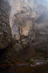 Obraz premium beautiful winter mountain nature