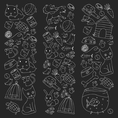 Pet shop. Vector illustration with animals, dog, cat, fish, Colorful background with kitten, bird, puppy. Veterinarian clinic.