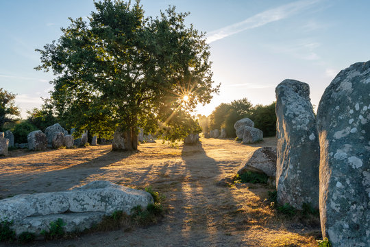 French landscape - Bretagne. A field with several menhirs at sunrise.
