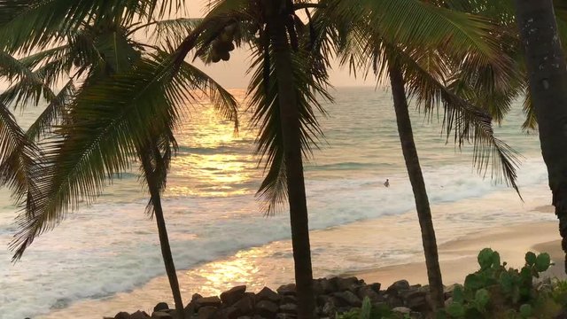 Amazing sunset on tropical beach palm leaves develop in wind Indians people swim in ocean waves of Odayam Varkala, sunlight reflect on water surface of Kerala India 4K