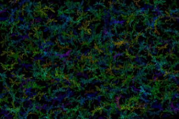 Multi-colored dragonflies on a black background