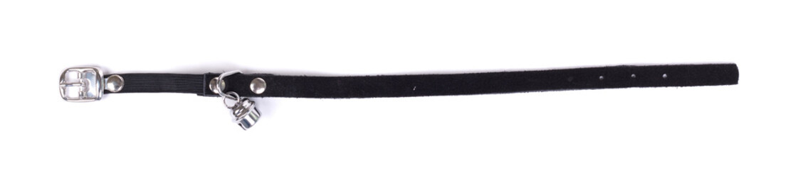 Collar cat, isolated