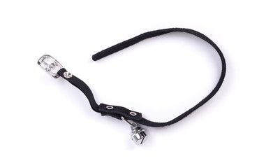 Collar cat, isolated