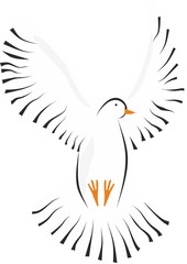 Obraz premium Paloma