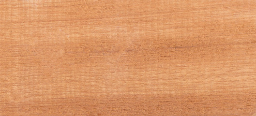 Wood from the tropical rainforest - Suriname - Xyloria spec