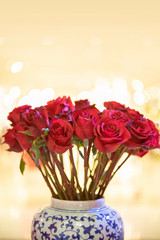 Red Rose on the branch for valentine day background