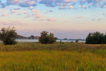 Summer landscape with green misty meadow, trees and sky. Fog on the grassland