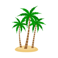 A palm tree vector set.