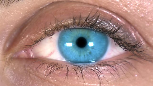 Close-up Of Beautiful Blue Eye