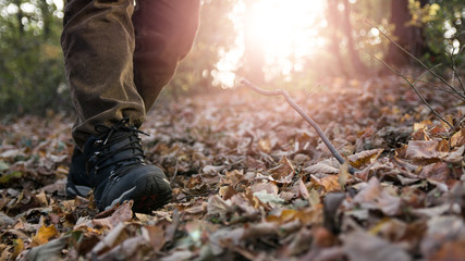 Hikers boots on forest trail