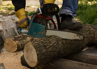 chainsaw on the background of sawn logs. firewood for the winter