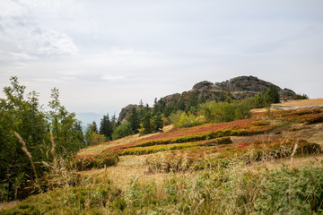 Fototapeta premium Landscape picture at the big Arber in Bavaria