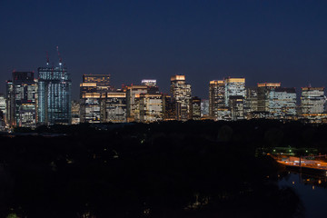 Obraz premium Tokyo Skyline