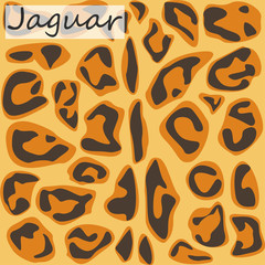  Abstract pattern skin or fur animal, camouflage skin of Jaguar Vector illustration.