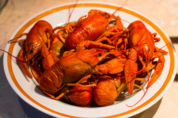 Boiled crayfish on a plate