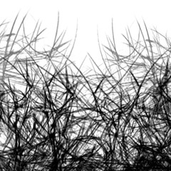 Black and White Abstract Background with shades Lines of plants branches, Graphic Sketch Hand Drawing