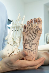 presentation of human foot with drawing of bones on the skin, and model of foot - comparison
