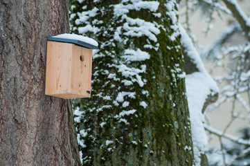 closeup of bird house covered by snow in urban park