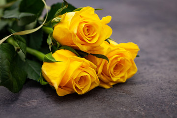 Yellow roses on on dark background