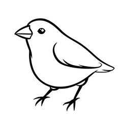 Hand drawn line sparrow vector sketch illustration