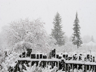 winter landscape with trees and fence