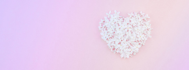 Pink background with white lilac flowers