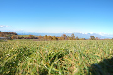 日本 長野県 長門牧場 快晴 晴れ 空