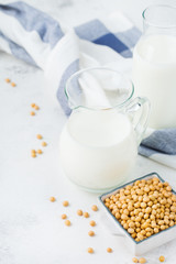 Homemade organic vegan non diary soy bean milk