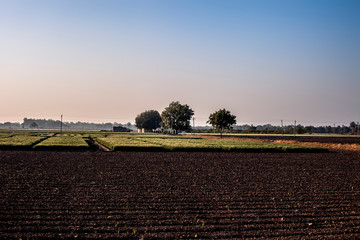 Empty fields wide angle landscape view of fields with some trees and vegetations.